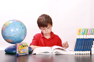 活力校园，小学体育手抄报的精彩世界